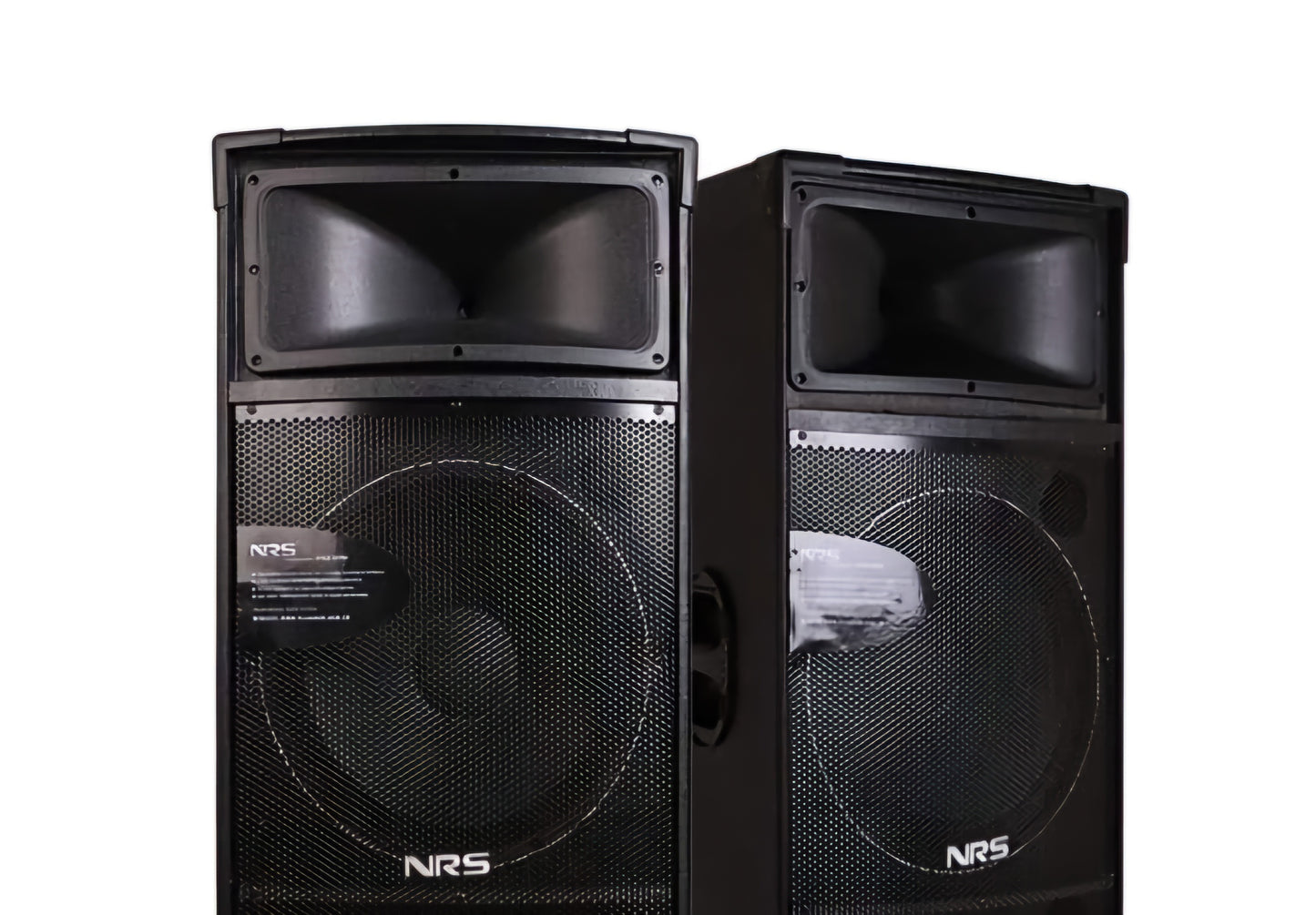 NRS 12" Speaker