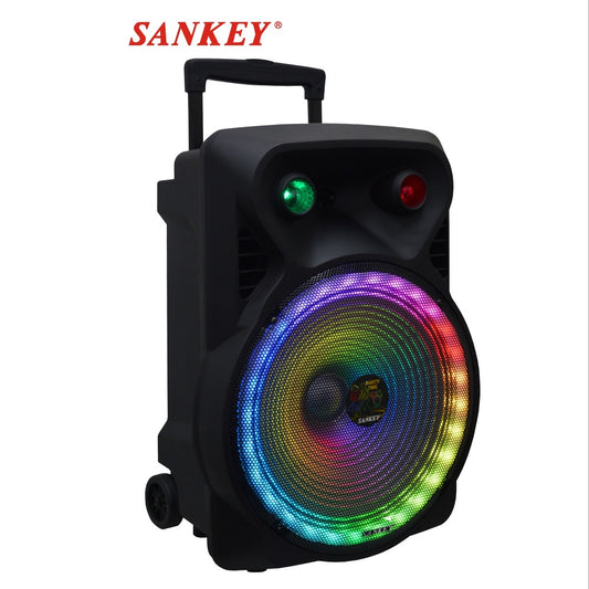 Sankey 15" Super Woofer Speaker